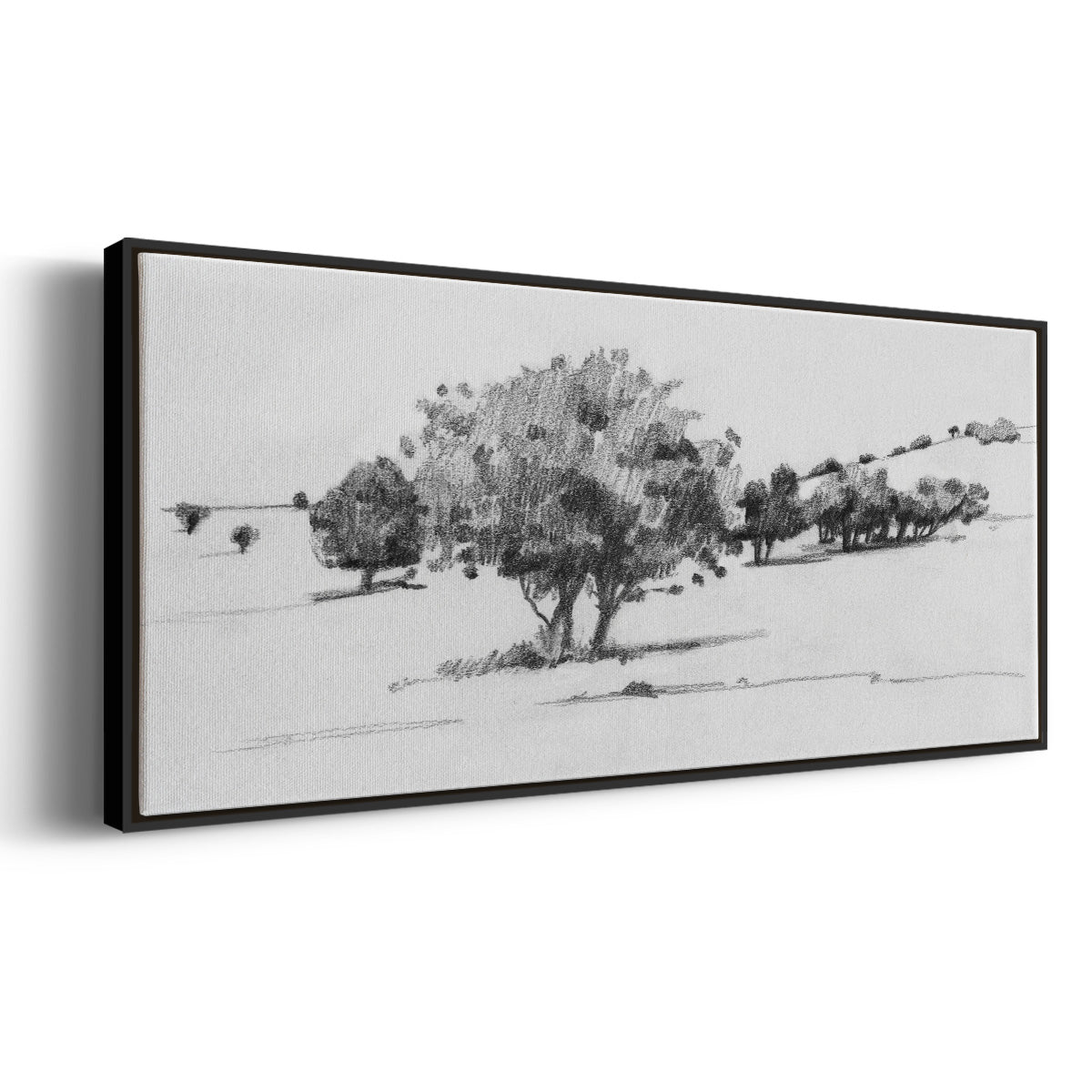 Treeline Sketch I - Floater Framed Canvas Print
