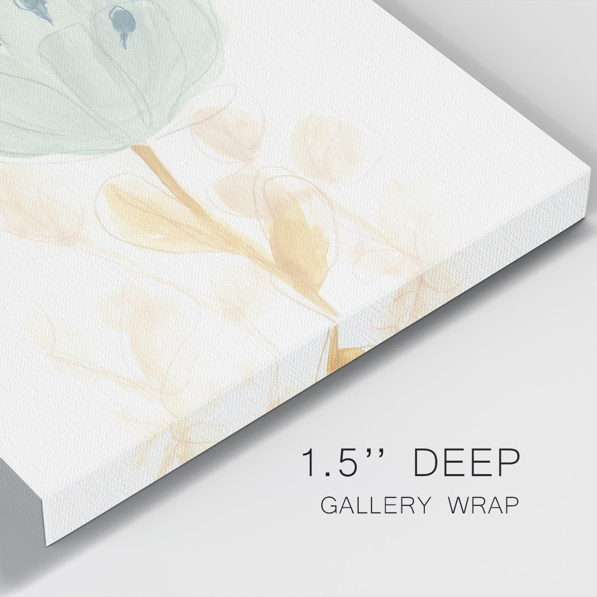 Petite Petals V - Canvas Art Print