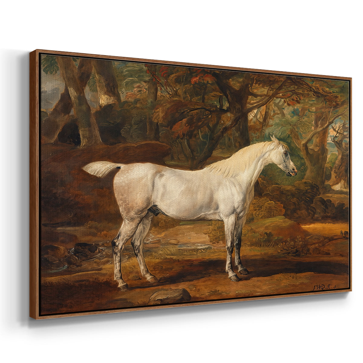 Grey Arabian Stallion, Property of Sir Watkin Williams-Wynn, c. 1817 - Floater Framed Canvas Print