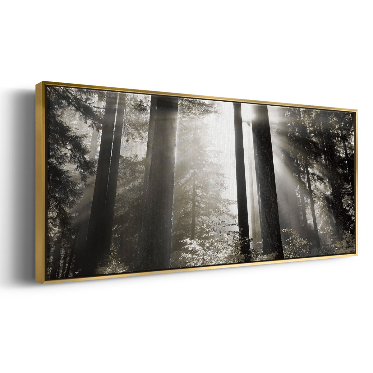 Morning Light - Floater Framed Canvas Print