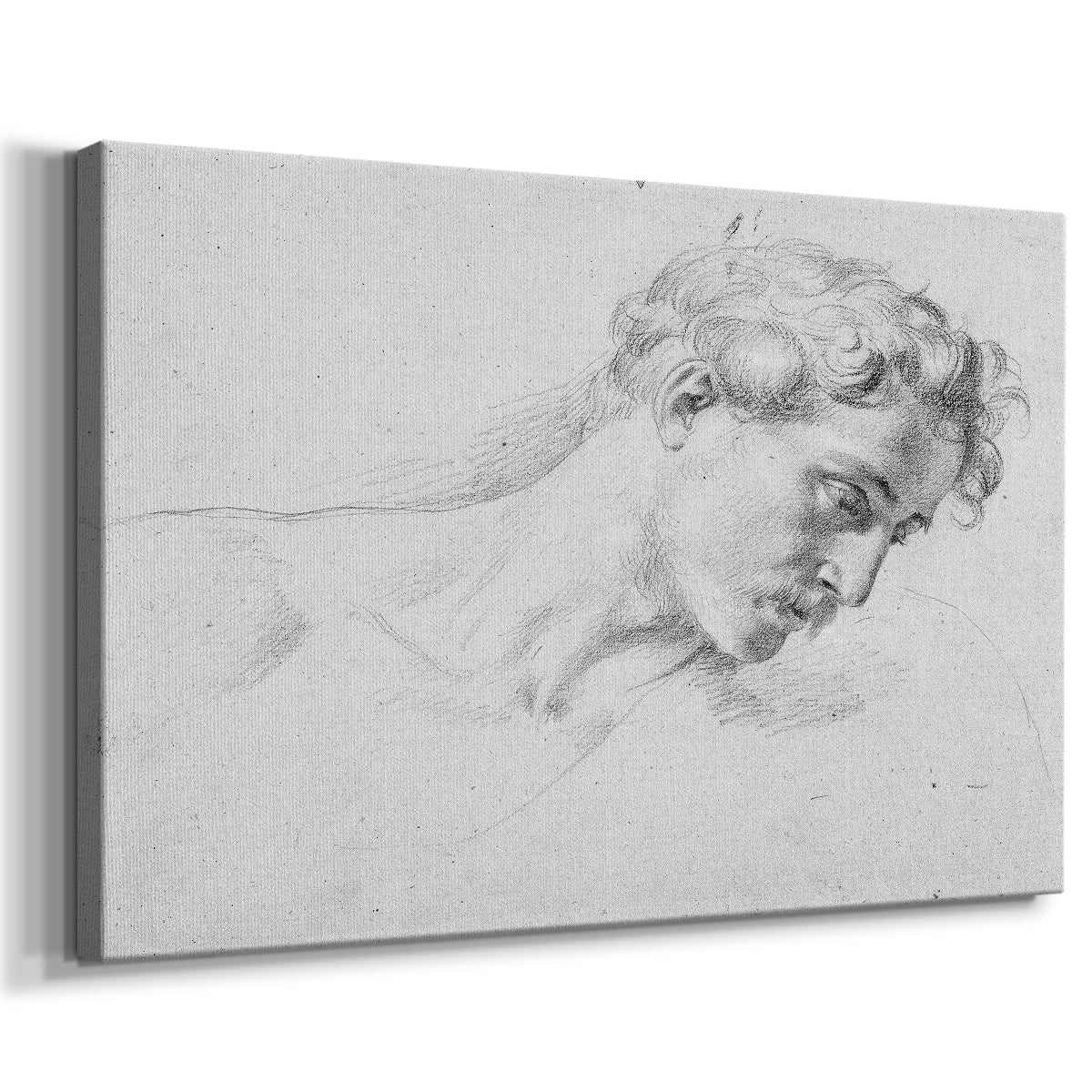 portrait,sketch,young man,curly hair,contemplation,soft shading,line drawing,expressive,detailed,drawing,pencil art,hairstyle,mood,facial expression,head study,artisanal techniques,male figure,classic art,emotional depth,shading techniques,fine art,inspiration,creativity,traditional drawing,visual art,aesthetic,character study,monochrome,portraiture,subtle details,expressionist art,human form,chiaroscuro,figure drawing
