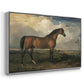 Eagle, A Celebrated Stallion, 1809 - Floater Framed Canvas Print