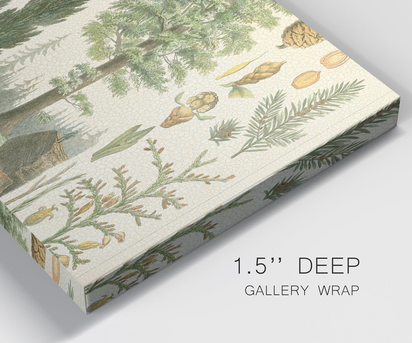 Close-up view of wrapped canvas corner featuring vintage floral botanical collage.