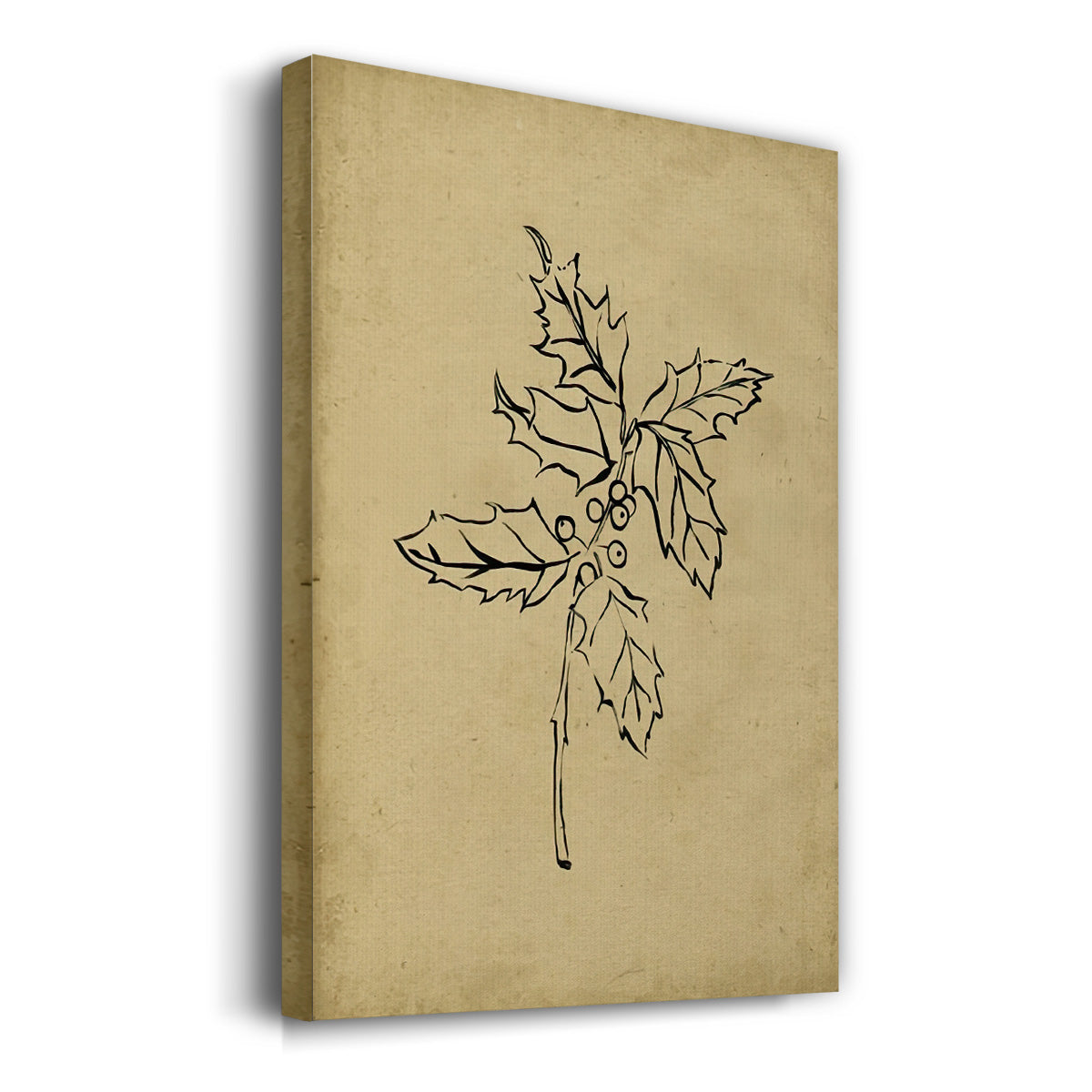 Holly Branch I - Gallery Wrapped Canvas