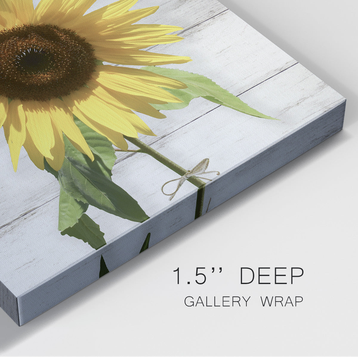 Sunflower on Wood - Canvas Art Print