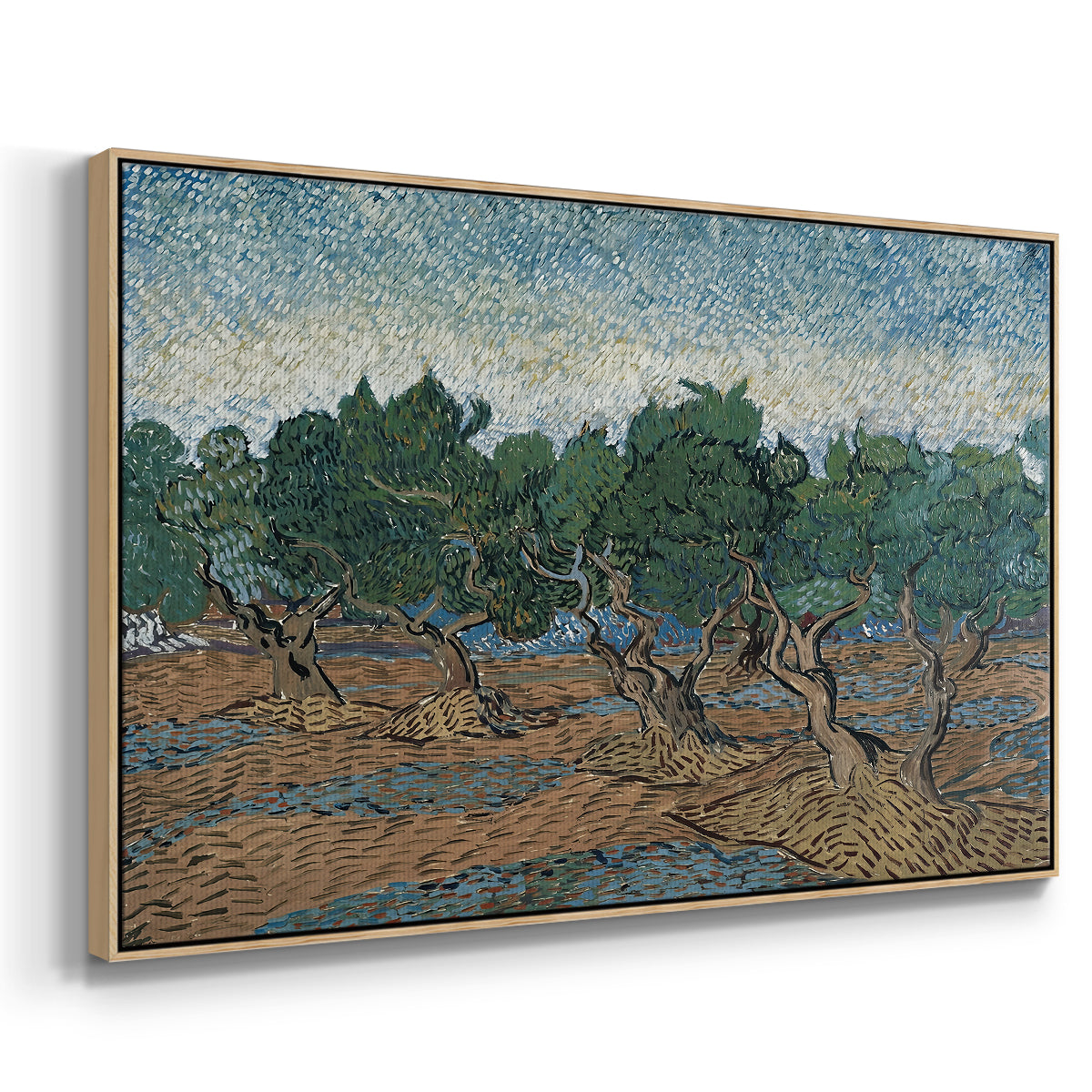 Olive Trees, 1889 - Floater Framed Canvas Print