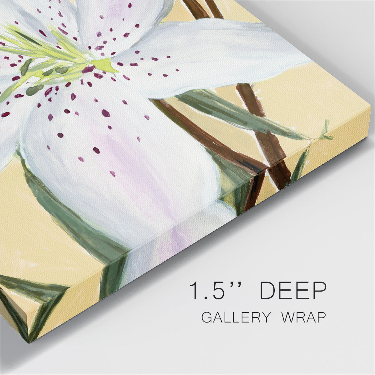 White Lily II-Premium Gallery Wrapped Canvas - Ready to Hang