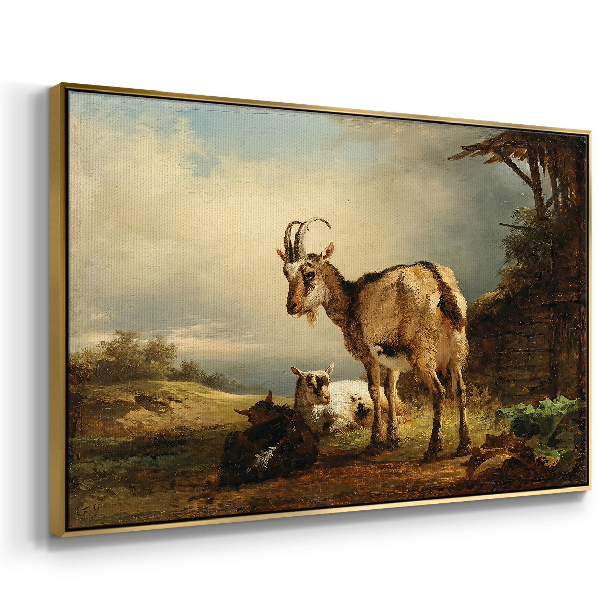 A Goat with Two Kids - Floater Framed Canvas Print