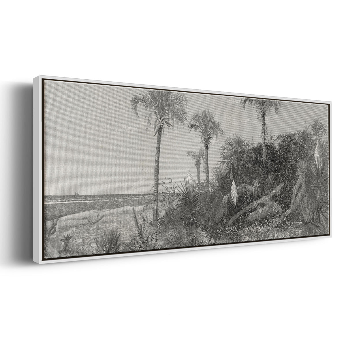 On the Coast of Florida - Floater Framed Canvas Print