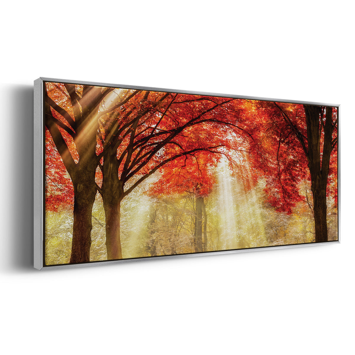 Everland - Floater Framed Canvas Print