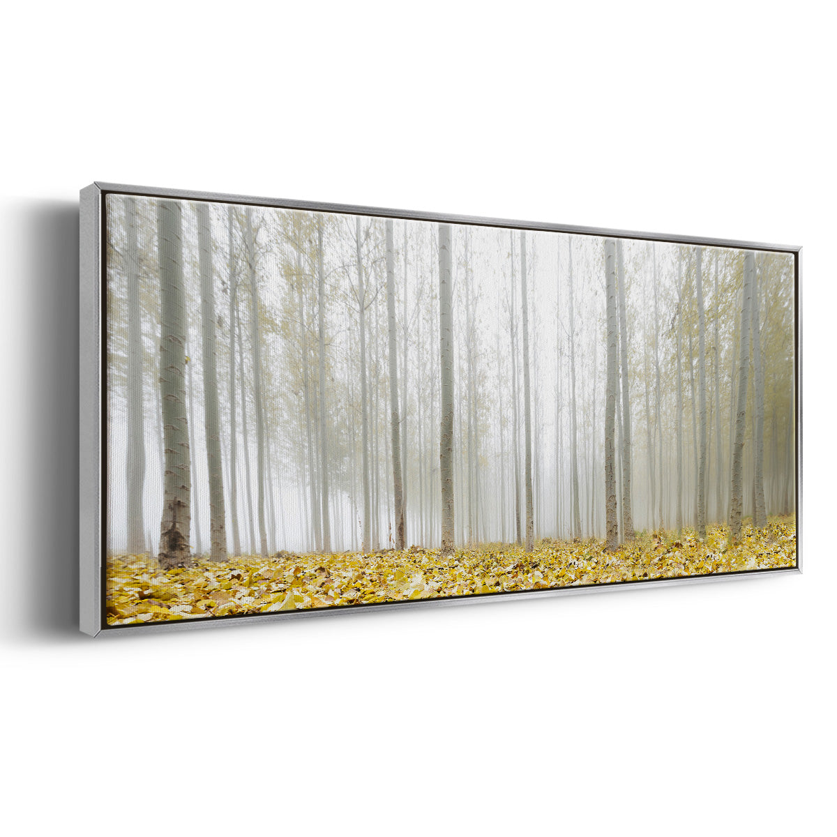 Poplar Grove - Floater Framed Canvas Print