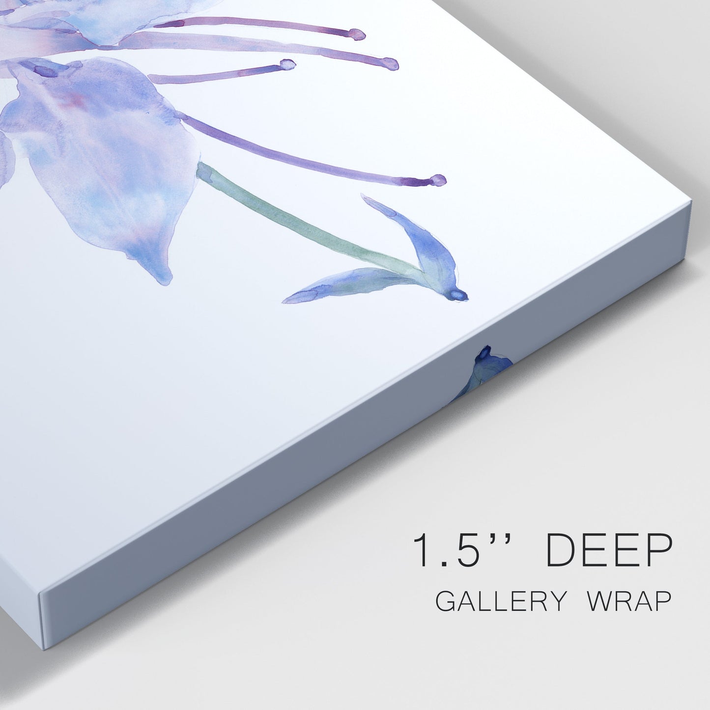 Columbine Bloom II Premium Gallery Wrapped Canvas - Ready to Hang