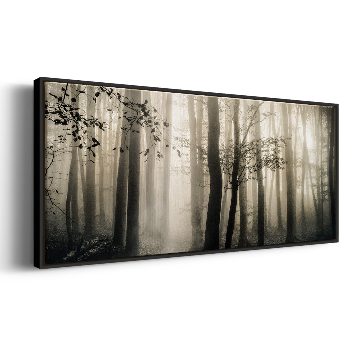 Light is Always There - Floater Framed Canvas Print