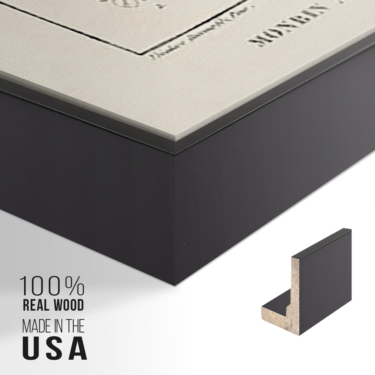 Turpin Tropical Botanicals I - Floater Framed Canvas Set