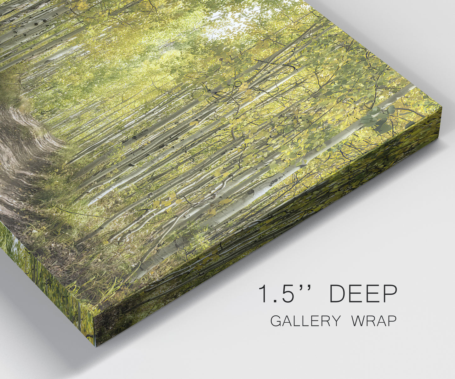 Close-up view of wrapped canvas corner featuring tree lined forest road photograph.