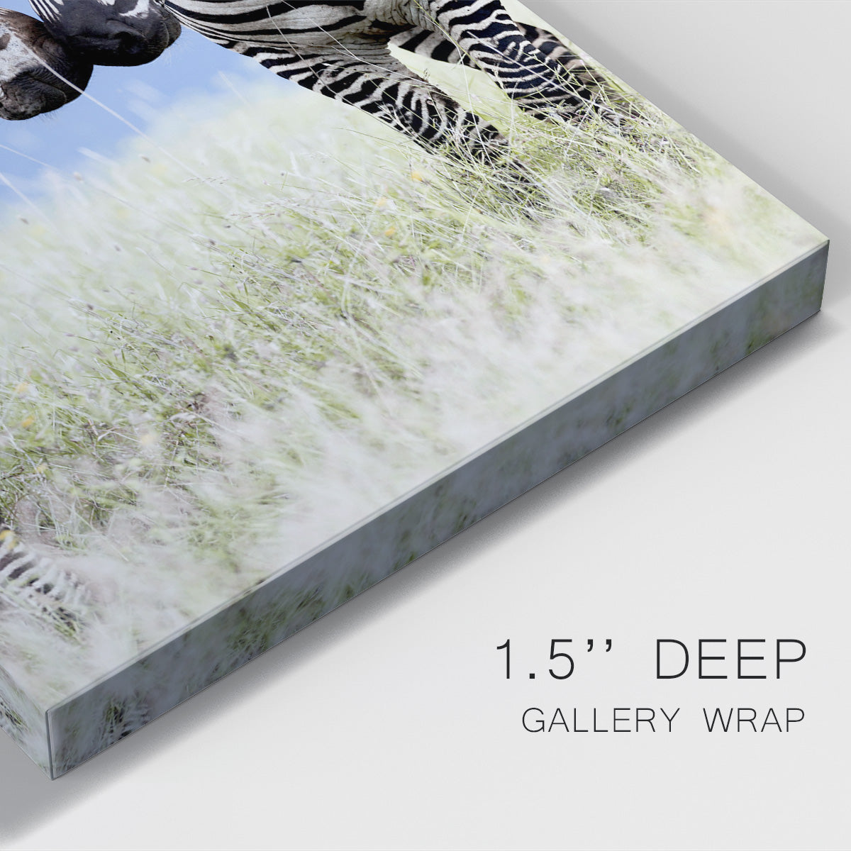 African Affection - Canvas Art Print