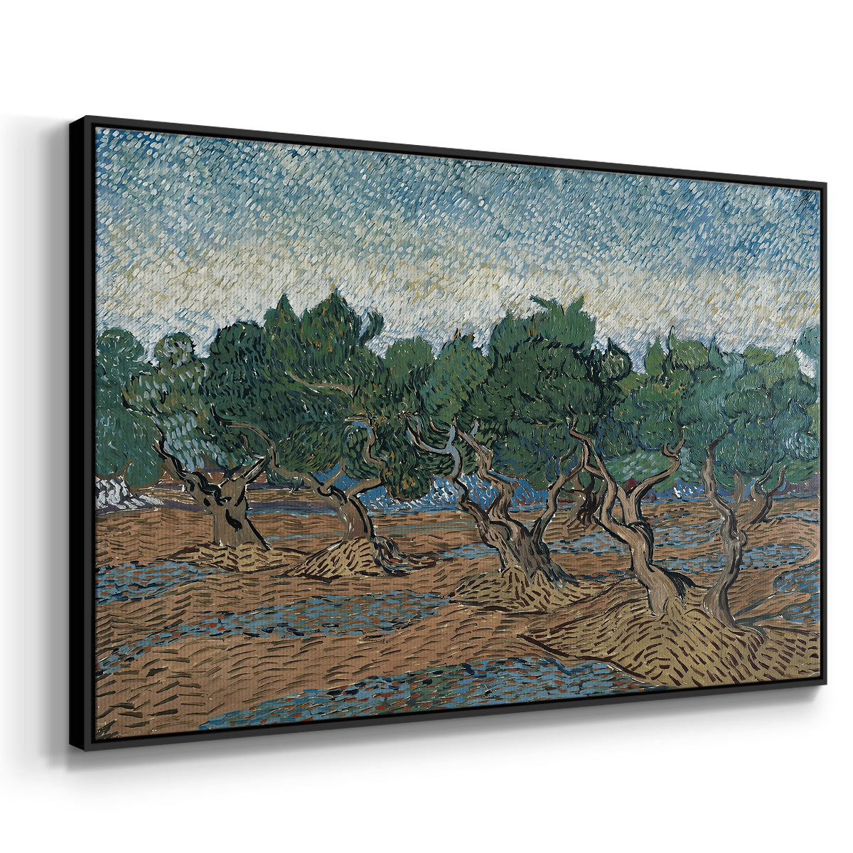 Olive Trees, 1889 - Floater Framed Canvas Print