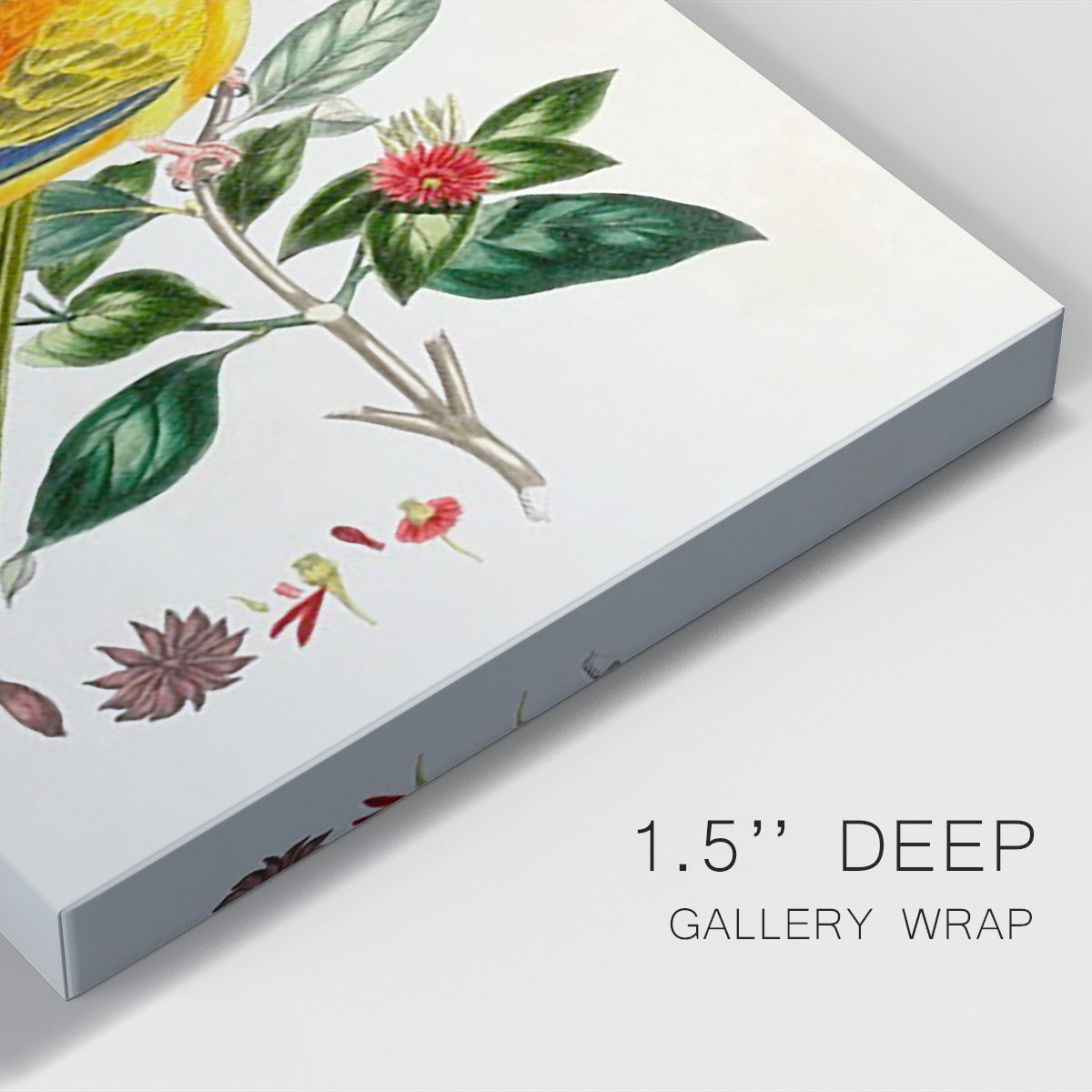 Bird in Habitat V Premium Gallery Wrapped Canvas - Ready to Hang