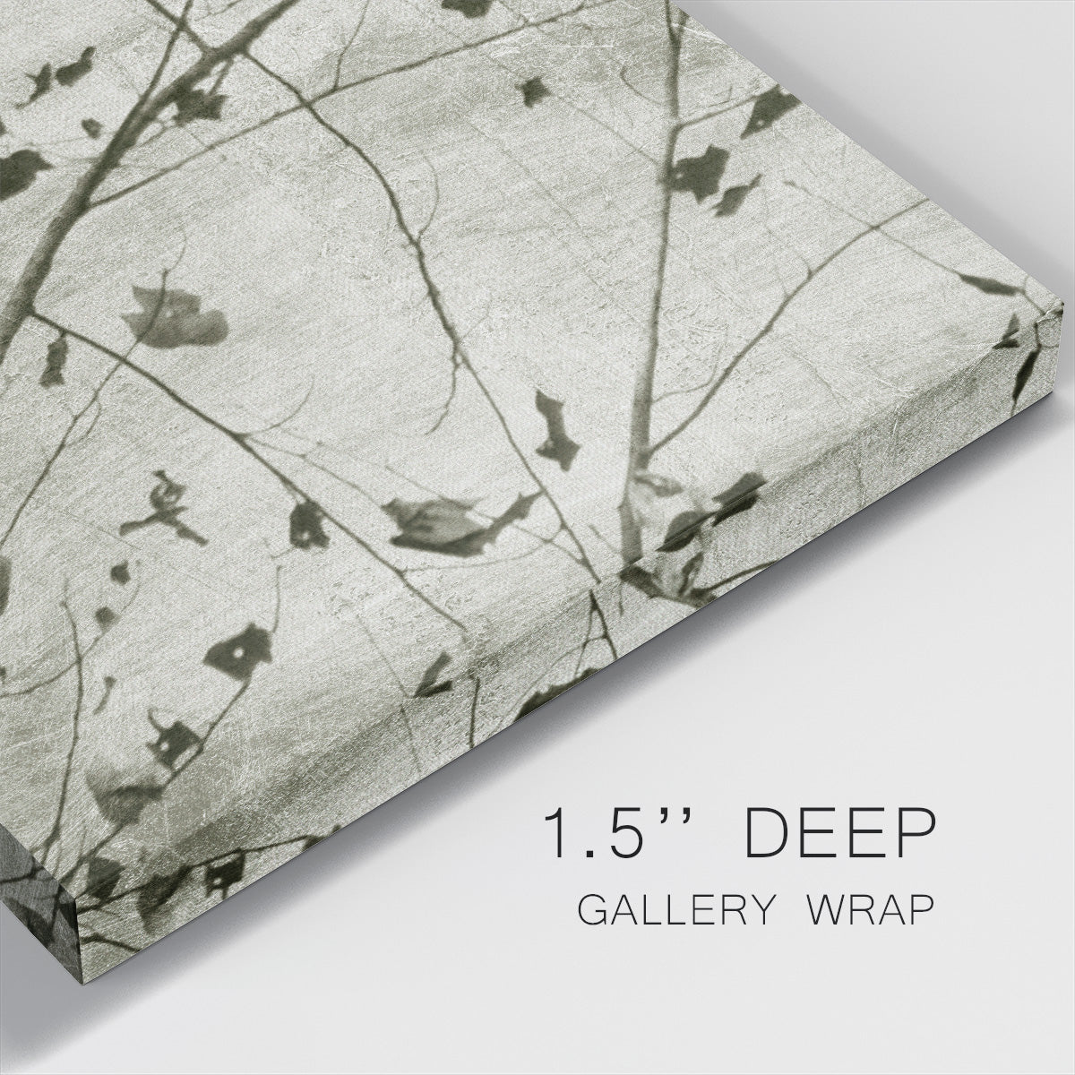 Laced Sky III - Canvas Art Print