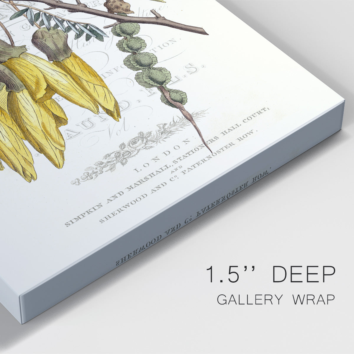 Flower Garden Varietals III Premium Gallery Wrapped Canvas - Ready to Hang