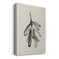 Mistletoe Sketch I - Gallery Wrapped Canvas