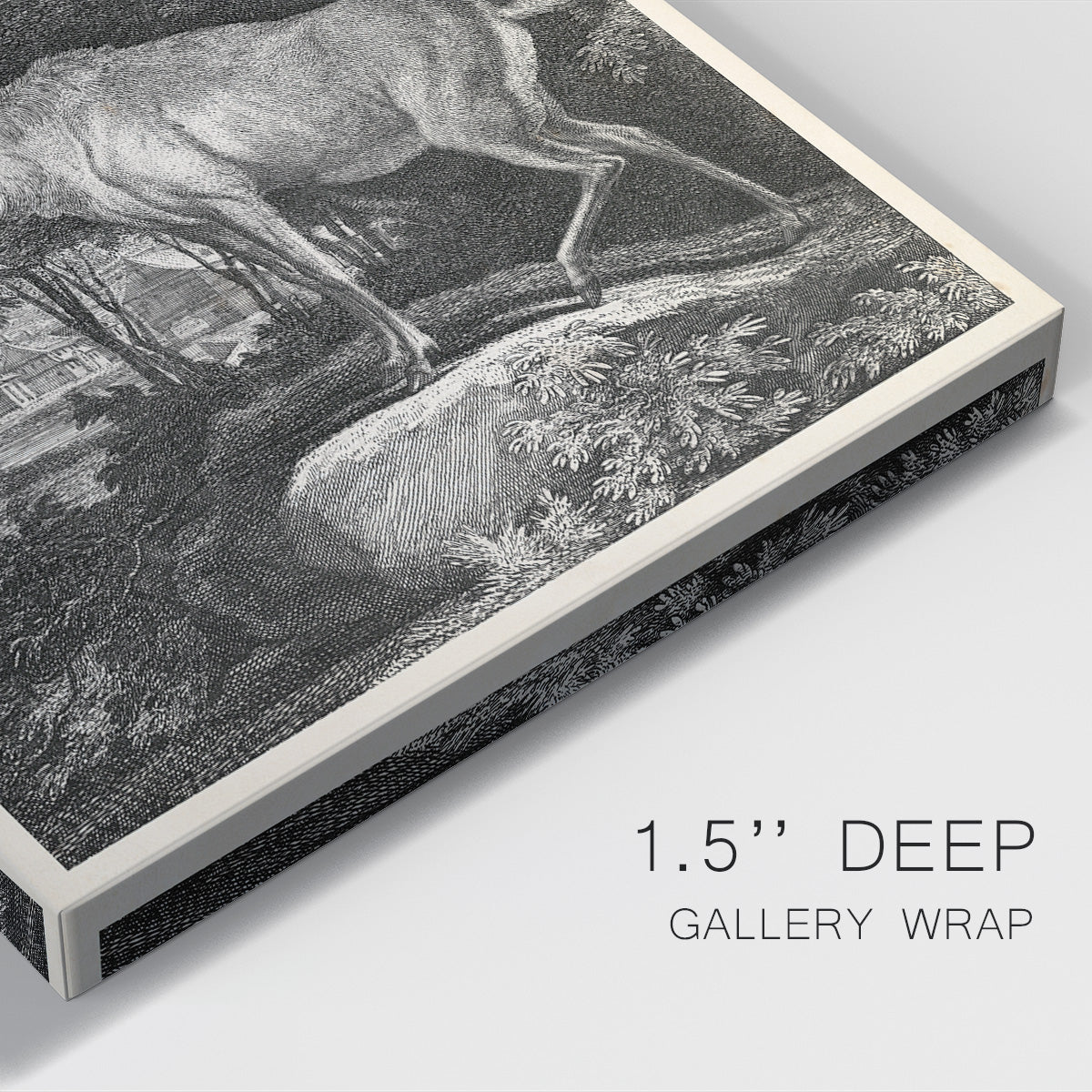 Woodland Deer II Premium Gallery Wrapped Canvas - Ready to Hang