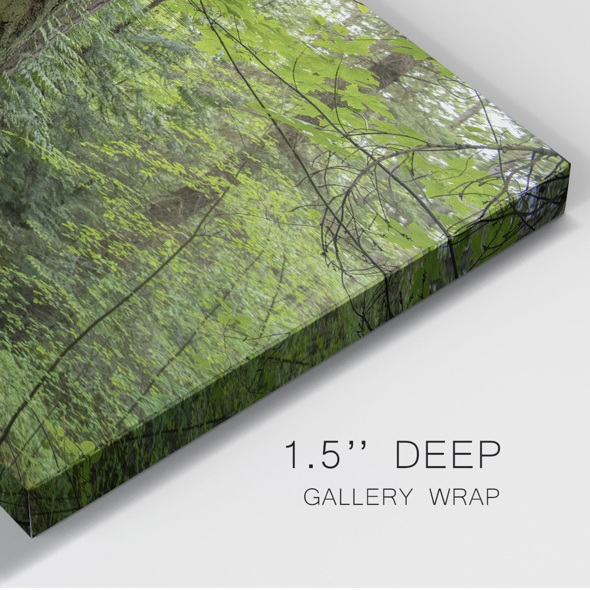 Calm of the Forest Premium Gallery Wrapped Canvas - Ready to Hang