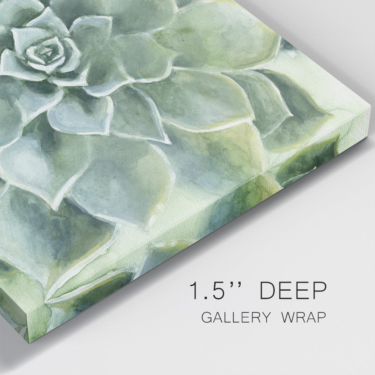 Verdant Succulent II-Premium Gallery Wrapped Canvas - Ready to Hang