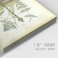 Regal Dragonfly III (PP)  - Canvas Art Print