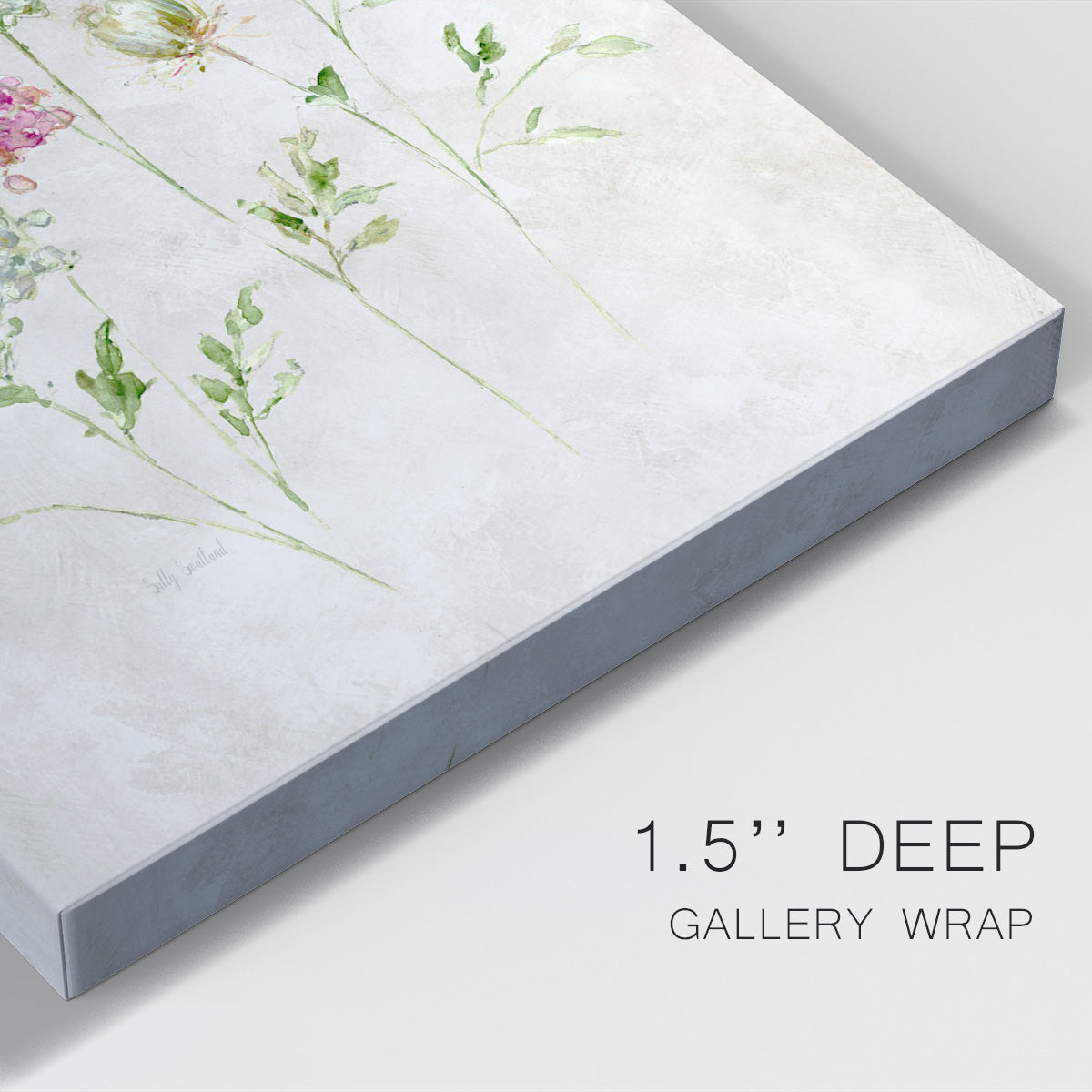 Soft Lace II Premium Gallery Wrapped Canvas - Ready to Hang