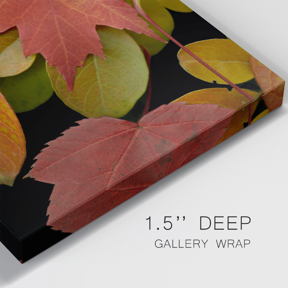 Small Vivid Leaves III (ST) - Canvas Art Print