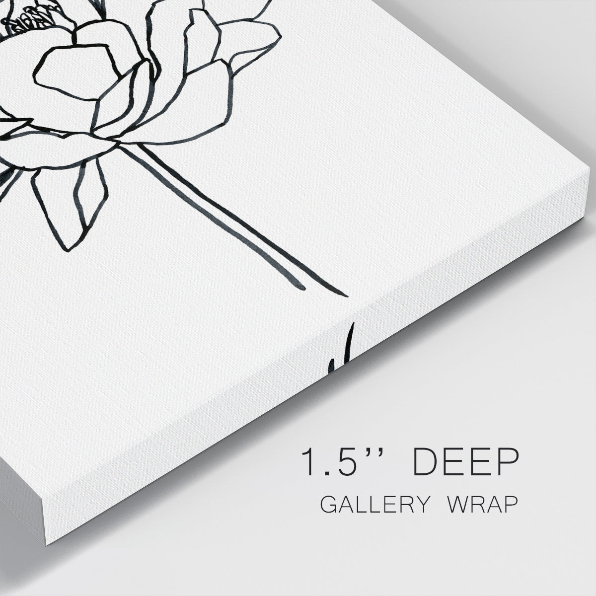 Peony Contour II - Canvas Art Print