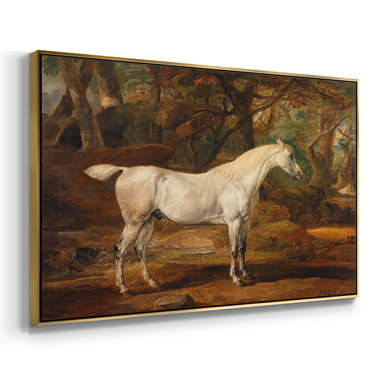 Grey Arabian Stallion, Property of Sir Watkin Williams-Wynn, c. 1817 - Floater Framed Canvas Print