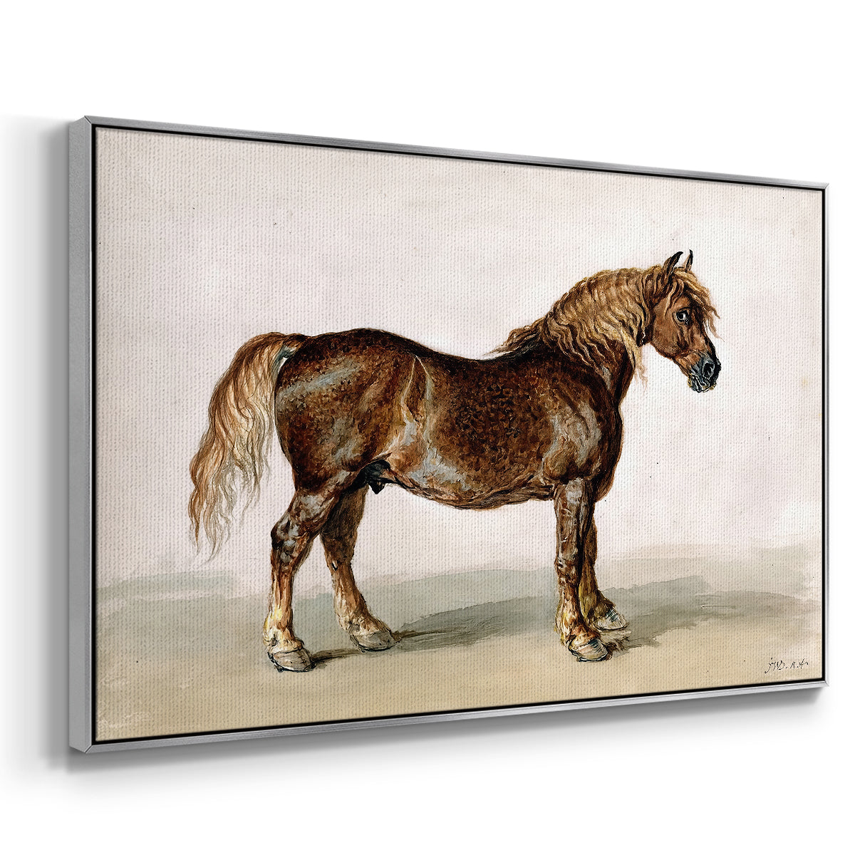 A Cart-Horse - Floater Framed Canvas Print