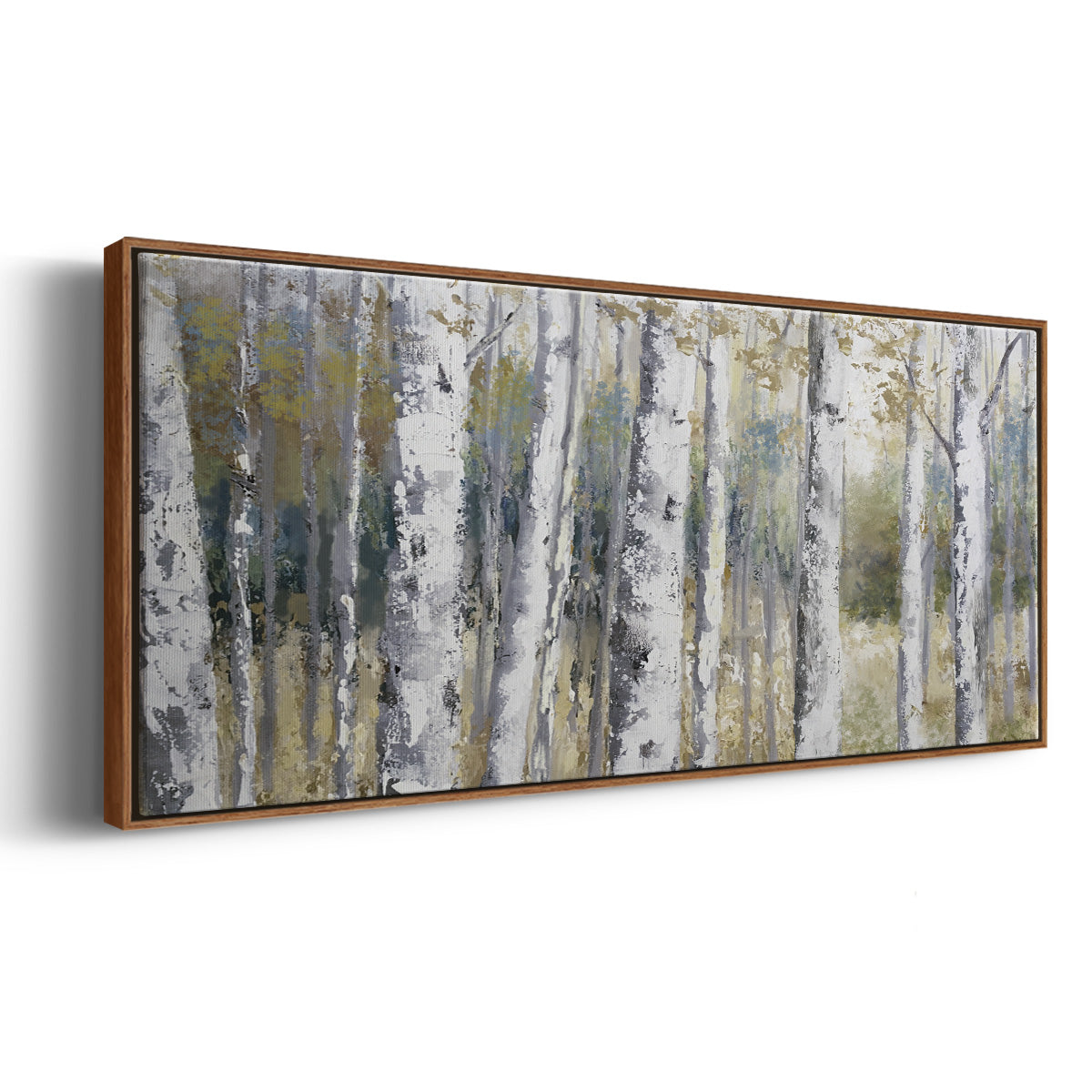 Hidden Birch - Floater Framed Canvas Print