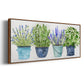 Fresh Herb Collection - Floater Framed Canvas Print