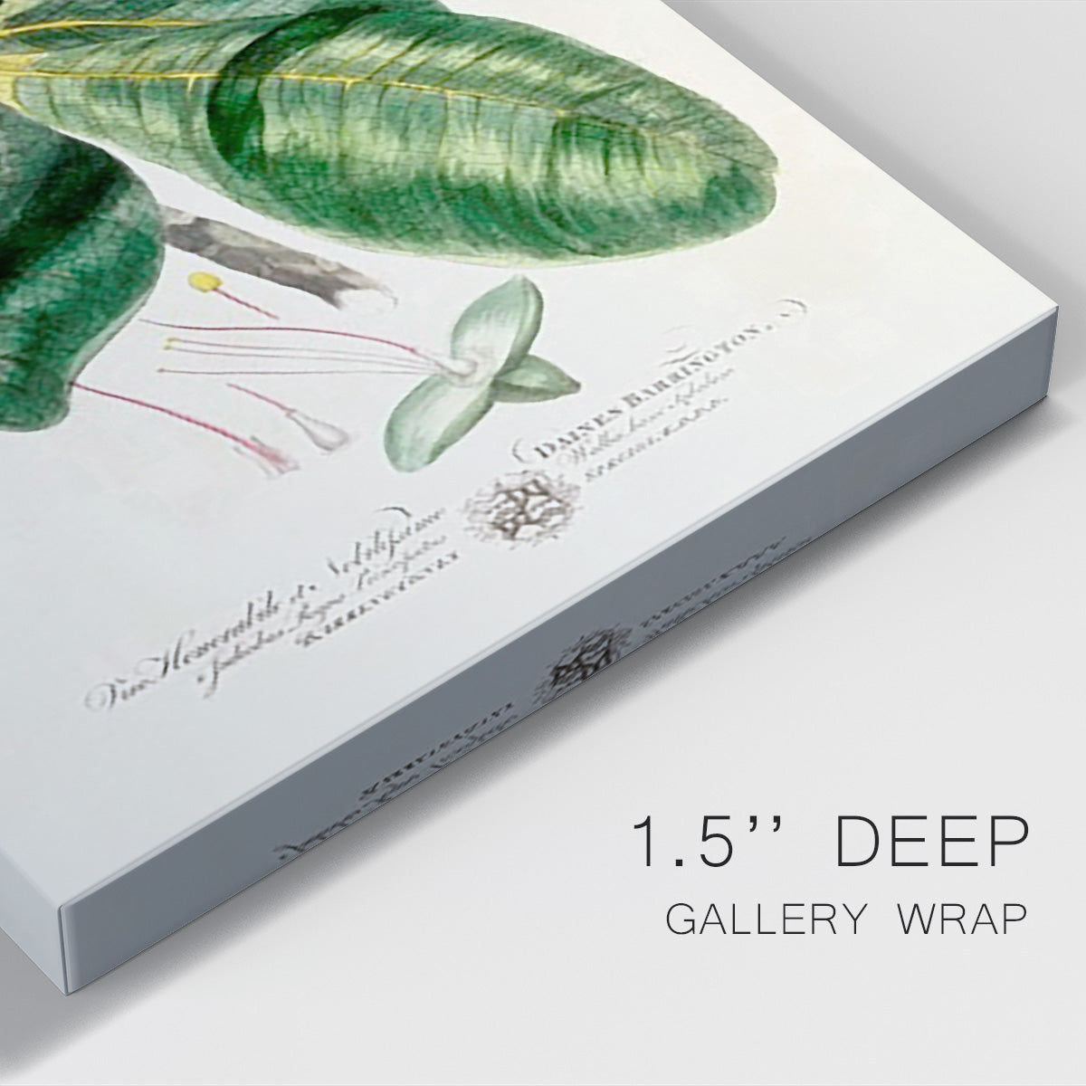 Imperial Tropical Botanical I Premium Gallery Wrapped Canvas - Ready to Hang