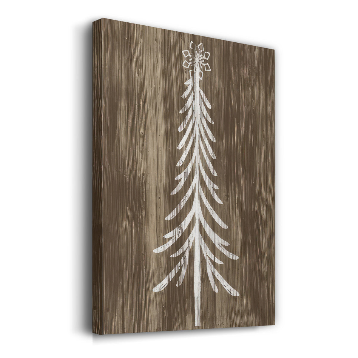 Barnwood Wonderland IX - Gallery Wrapped Canvas