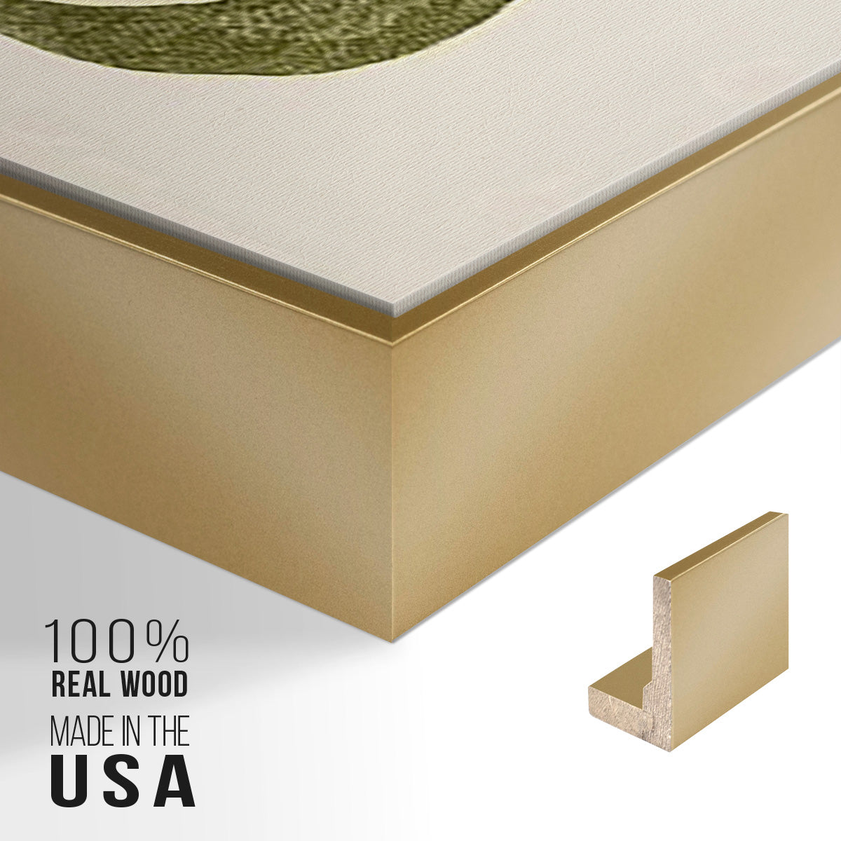 Buchoz Tropicals II - Floater Framed Canvas Set