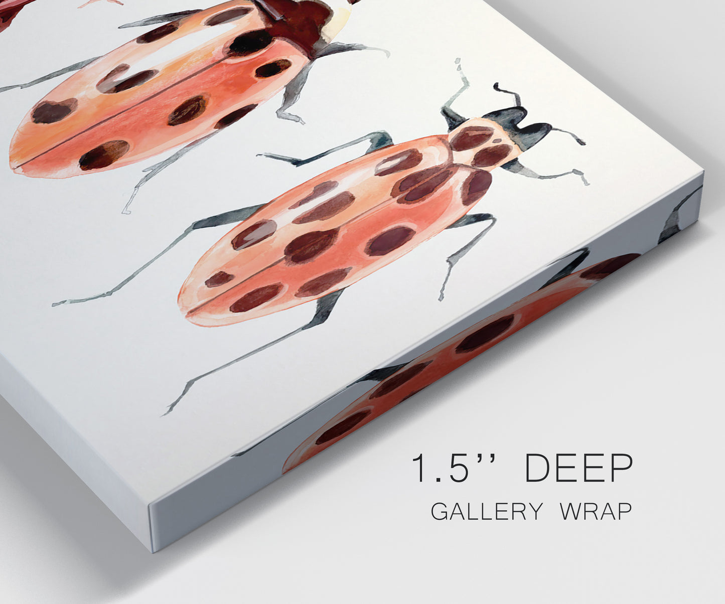 Close-up view of wrapped canvas corner featuring ladybugs on green foliage.