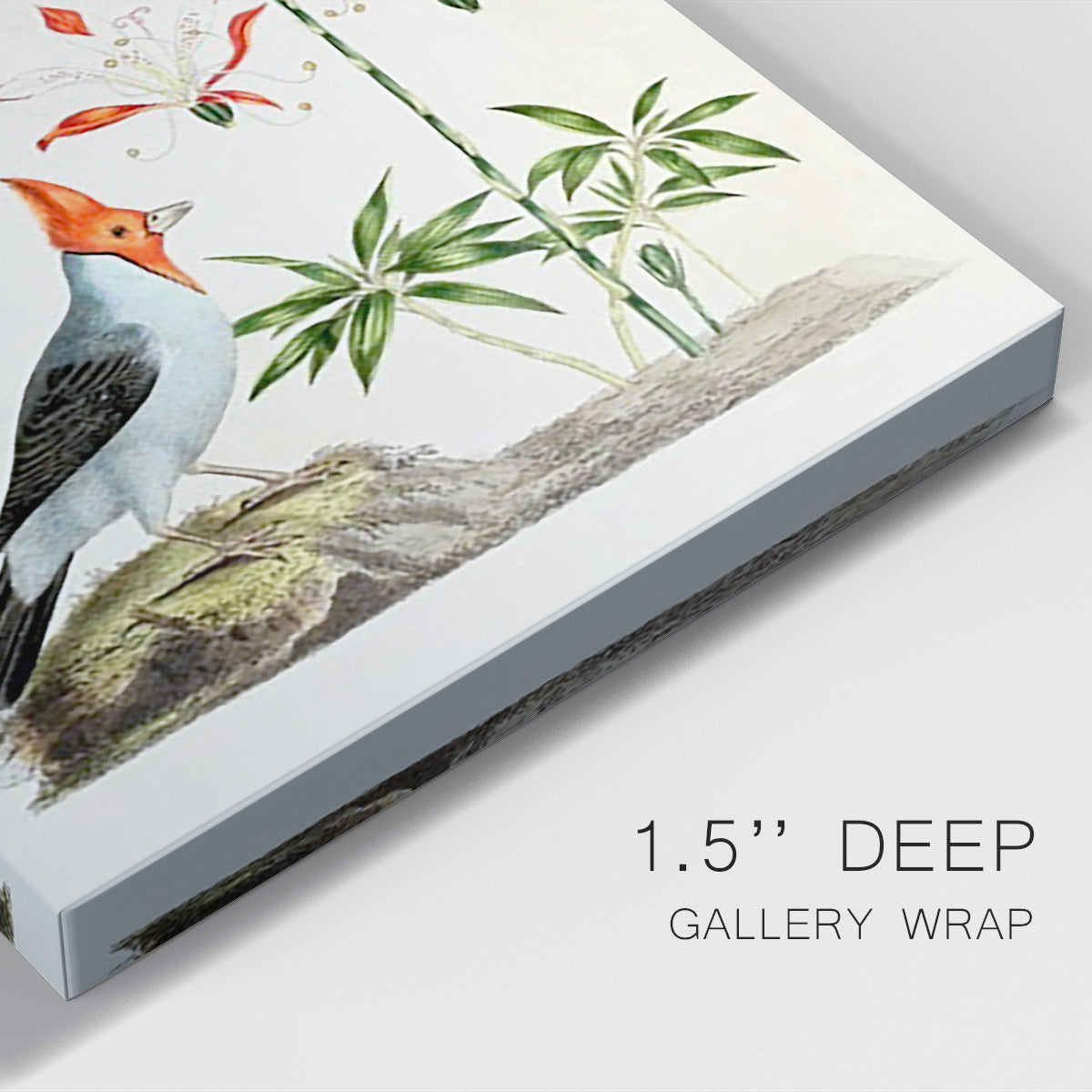 Bird in Habitat I Premium Gallery Wrapped Canvas - Ready to Hang