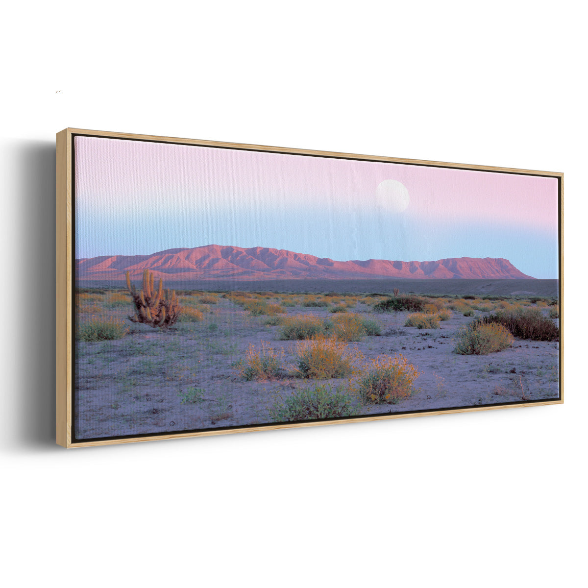 Vallenar Atacama Desert - Floater Framed Canvas Print