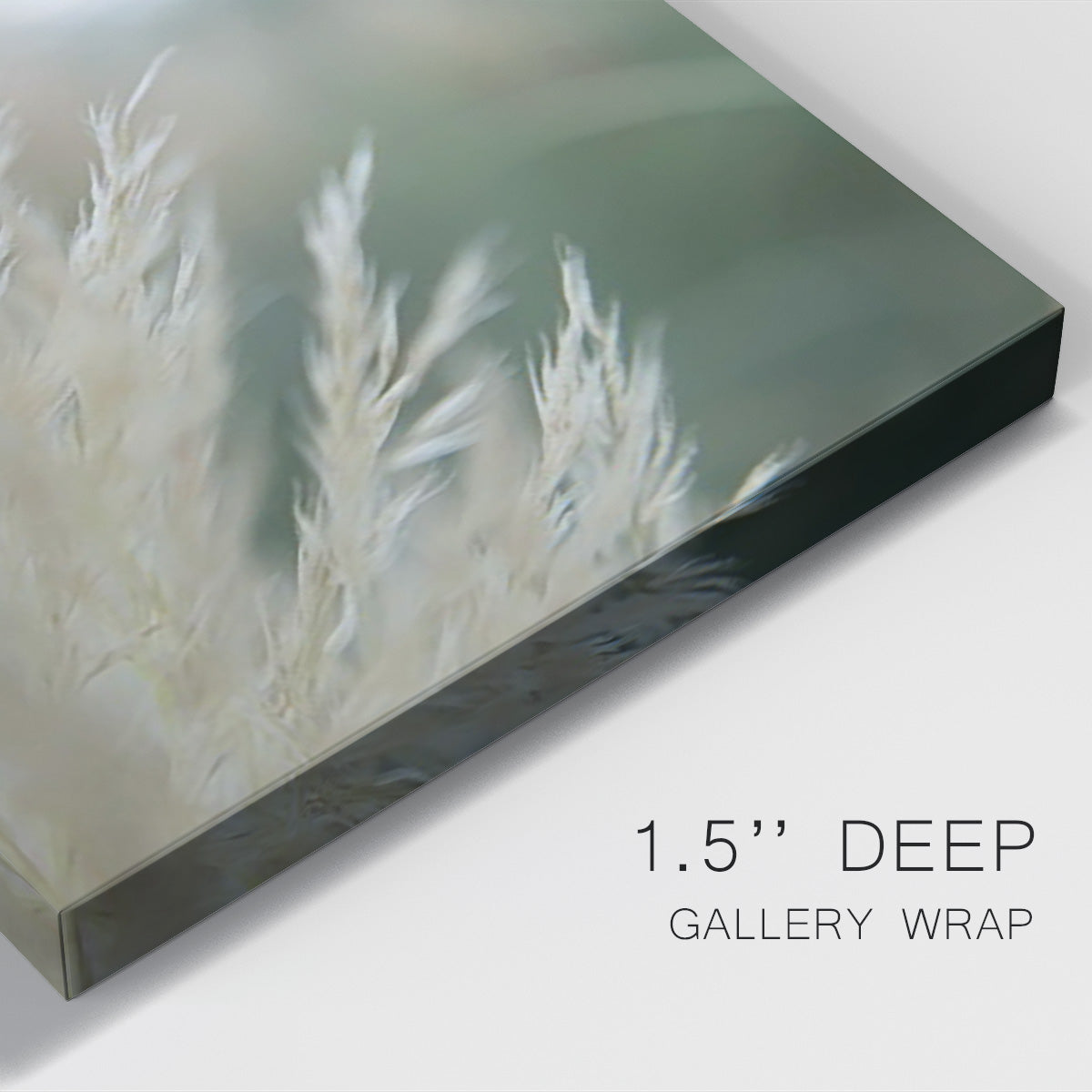 Subtle Grasses I Premium Gallery Wrapped Canvas - Ready to Hang