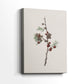 Pearled Lantern Serenade - Canvas Art Print