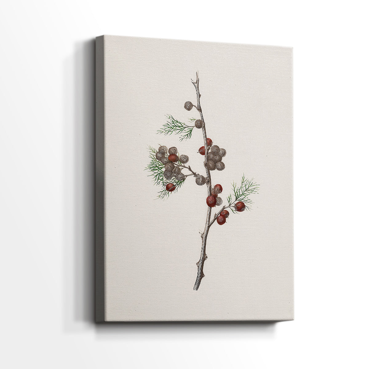 Pearled Lantern Serenade - Canvas Art Print