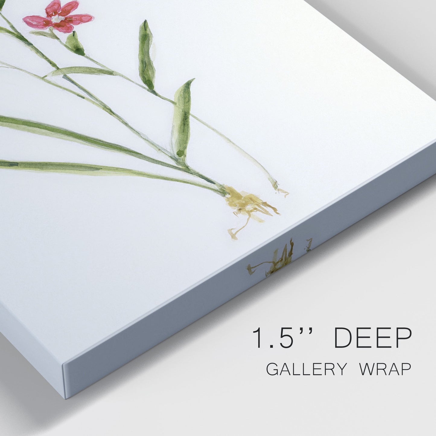 Delicate Pink I Premium Gallery Wrapped Canvas - Ready to Hang - Set of 2 - 8 x 12 Each