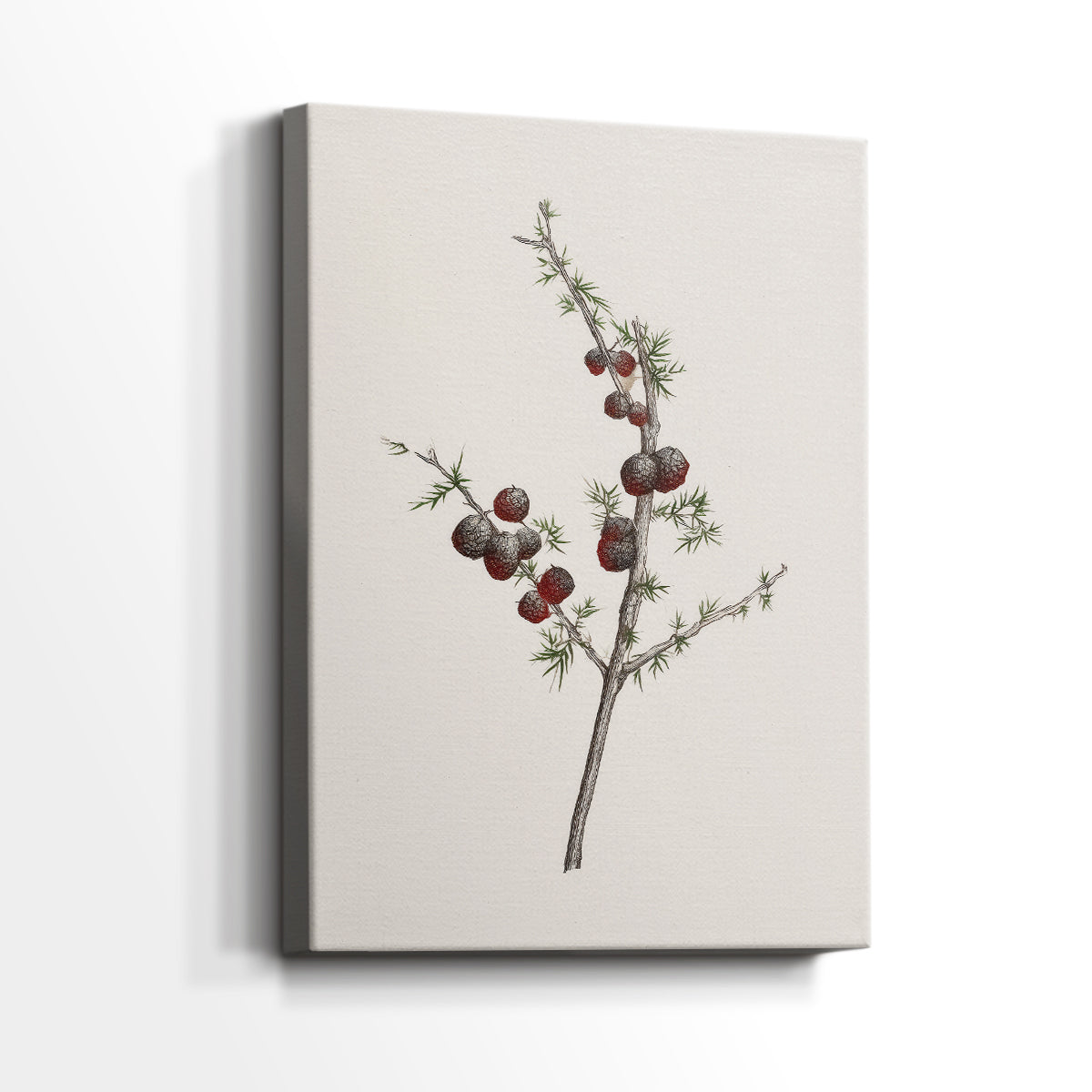 Pearled Yule Promise - Canvas Art Print