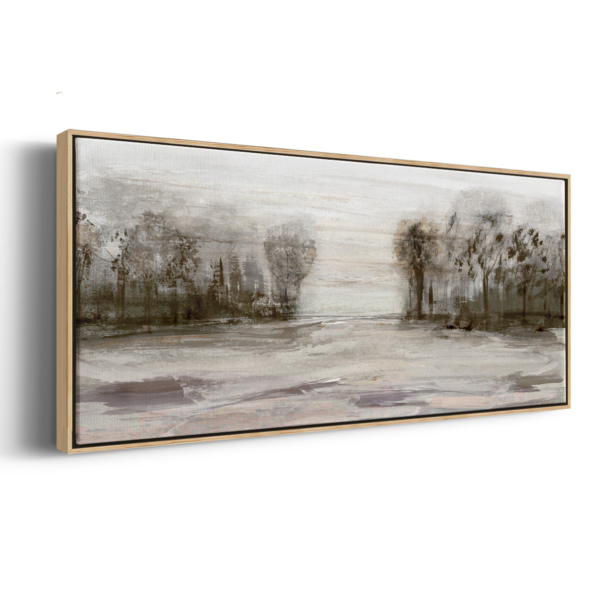 Near Graham Mountain - Floater Framed Canvas Print