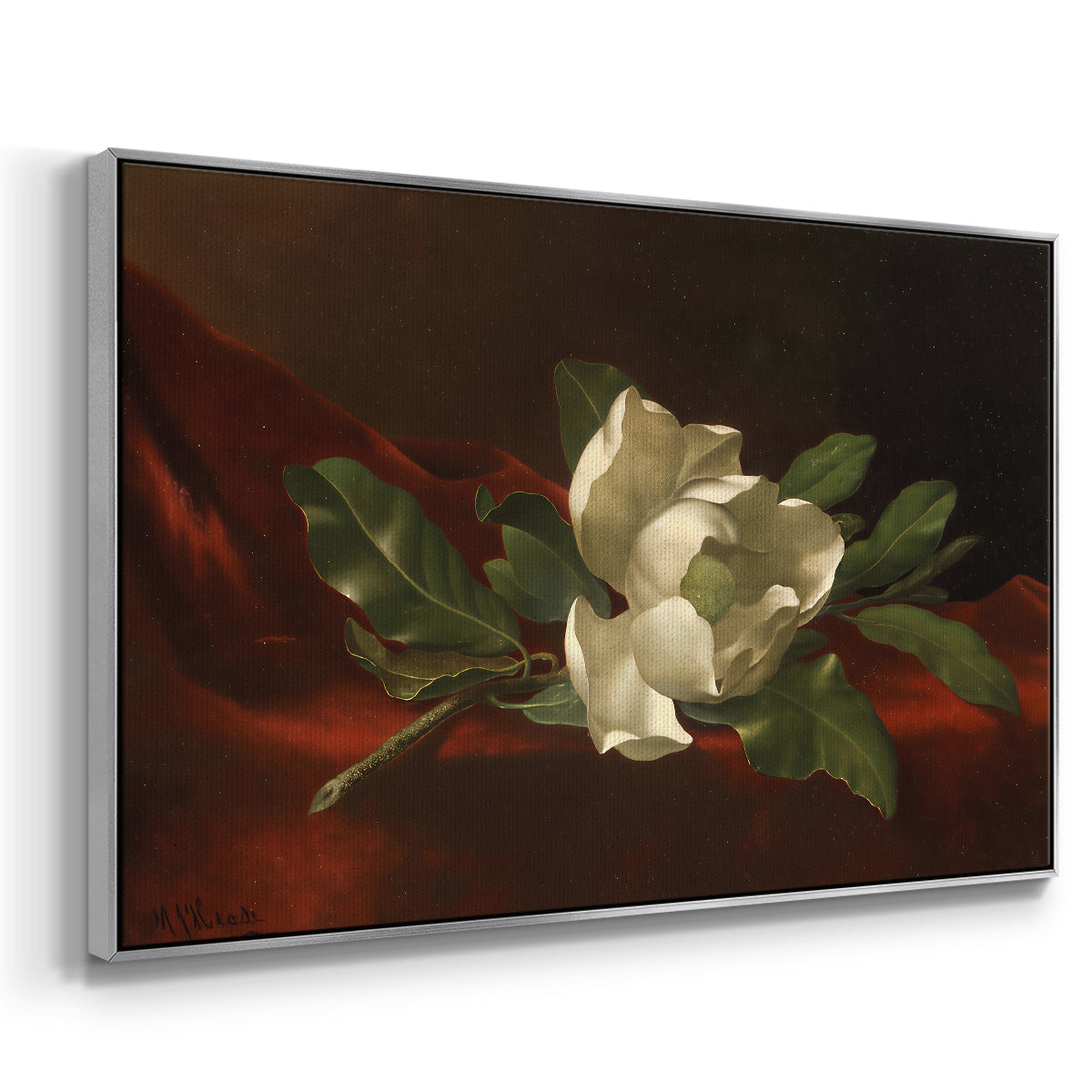 Magnolia on Red Velvet, c. 1885-1890 - Floater Framed Canvas Print