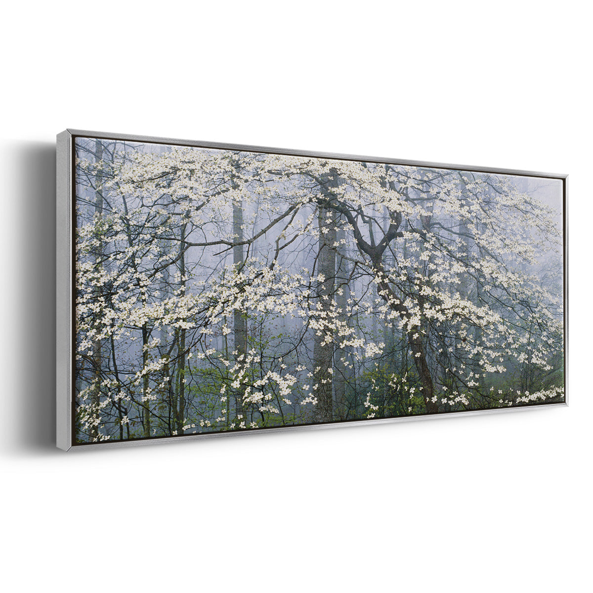 Dogwood Canopy - Floater Framed Canvas Print